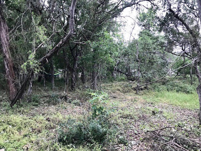 211 Ridgewood Drive San Marcos, TX 78666 - Photo 1 of 26 a view of a forest that has a tree