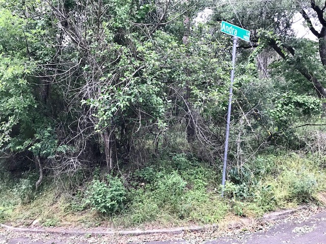 211 Ridgewood Drive San Marcos, TX 78666 - Photo 11 of 26 a backyard of a house with lots of trees