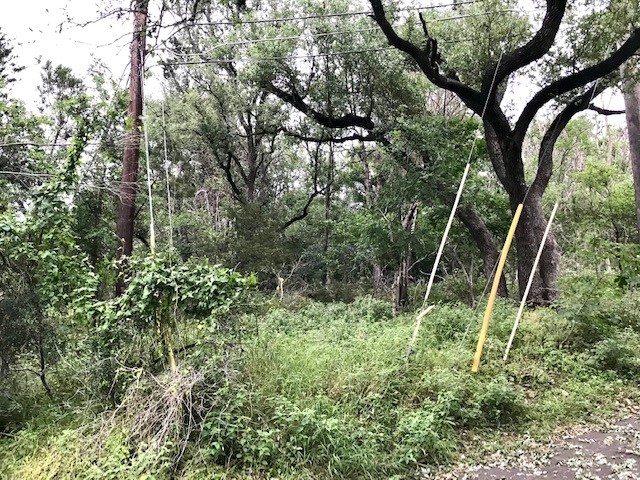 211 Ridgewood Drive San Marcos, TX 78666 - Photo 12 of 26 a view of forest