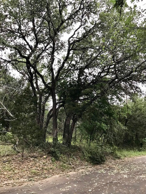 211 Ridgewood Drive San Marcos, TX 78666 - Photo 19 of 26 a view of outdoor space and yard