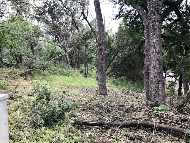 211 Ridgewood Drive San Marcos, TX 78666 - Photo 3 of 26 a big yard with lots of green space and trees