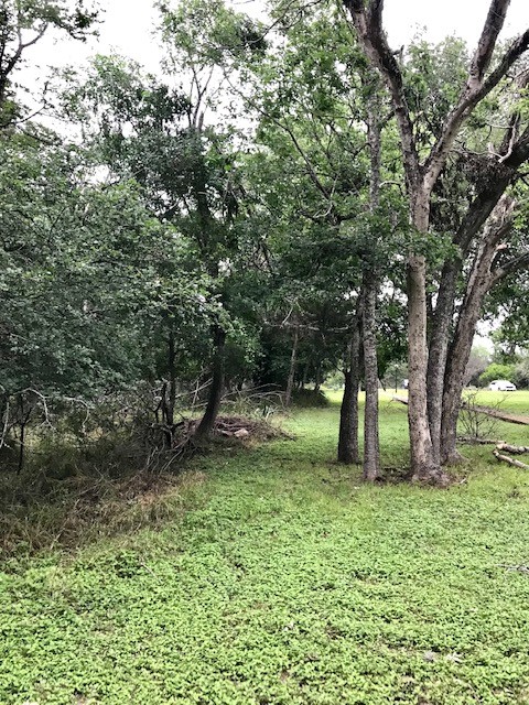211 Ridgewood Drive San Marcos, TX 78666 - Photo 6 of 26 a view of an outdoor space with a lake view