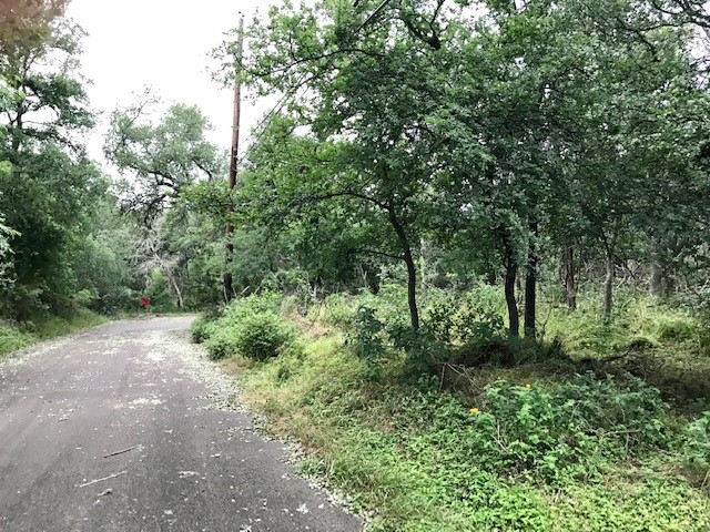 211 Ridgewood Drive San Marcos, TX 78666 - Photo 7 of 26 a big yard with lots of green space and plants