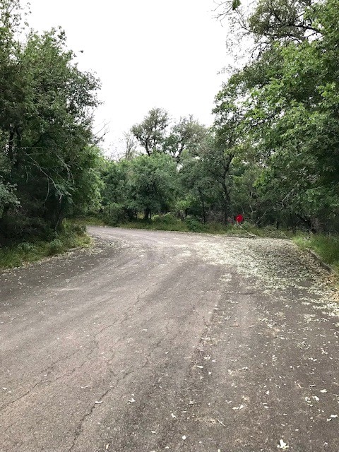 211 Ridgewood Drive San Marcos, TX 78666 - Photo 9 of 26 a view of a dry yard with trees in the background