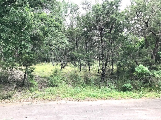 211 Ridgewood Drive San Marcos, TX 78666 - Photo 10 of 26 a view of yard with green space