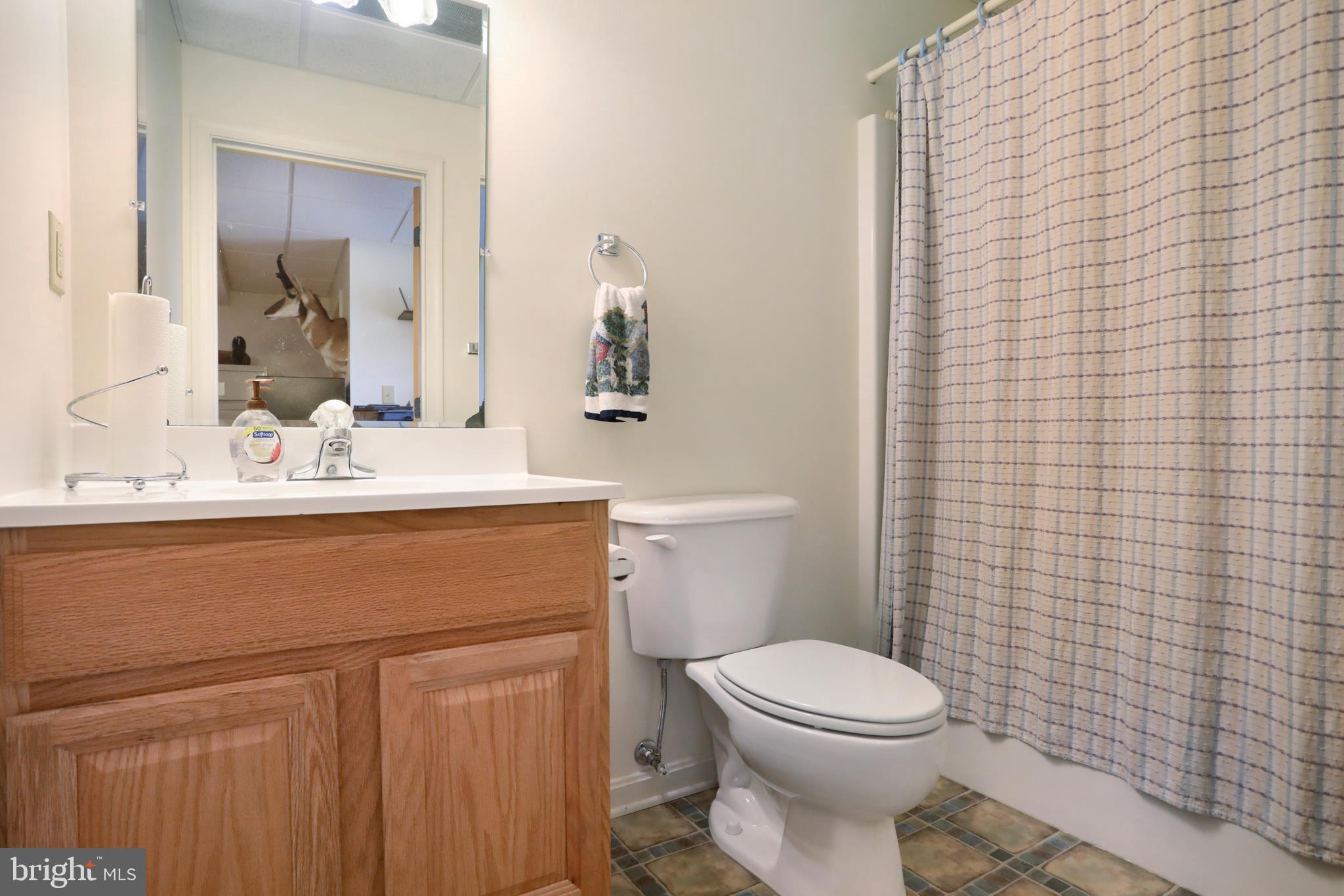 7725 Dam Number 4 Road Williamsport, MD 21795 - Photo 45 of 82 Gallery Image 45