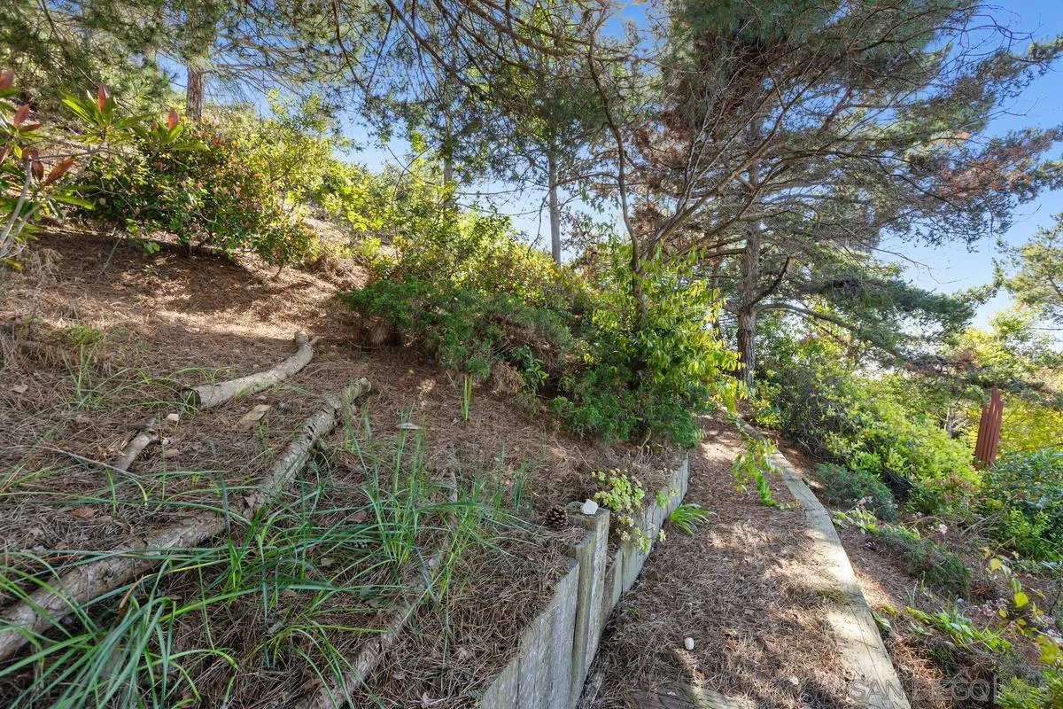 1888 Puente Drive La Jolla, CA 92037 - Photo 24 of 30 a backyard of a house with lots of green space