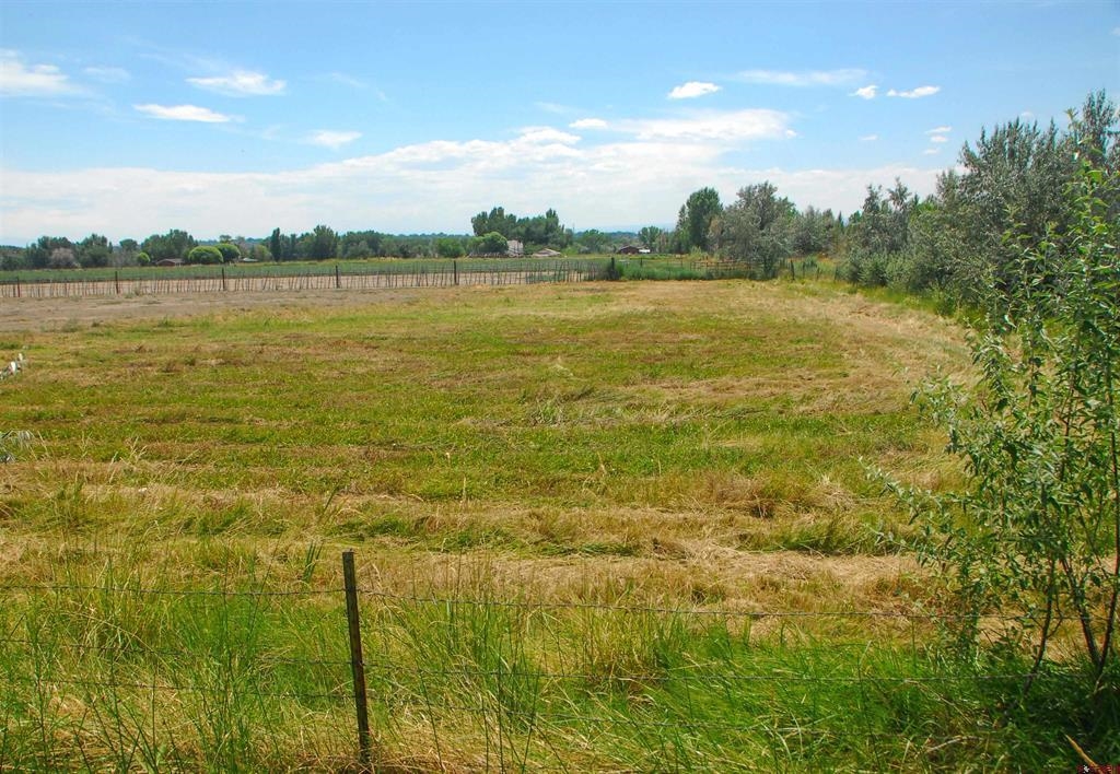 a view of an ocean from a yard