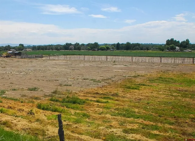 a view of a lake with houses in the background