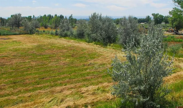 a view of a yard with an outdoor space and seating