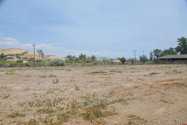 a view of a field with trees in background