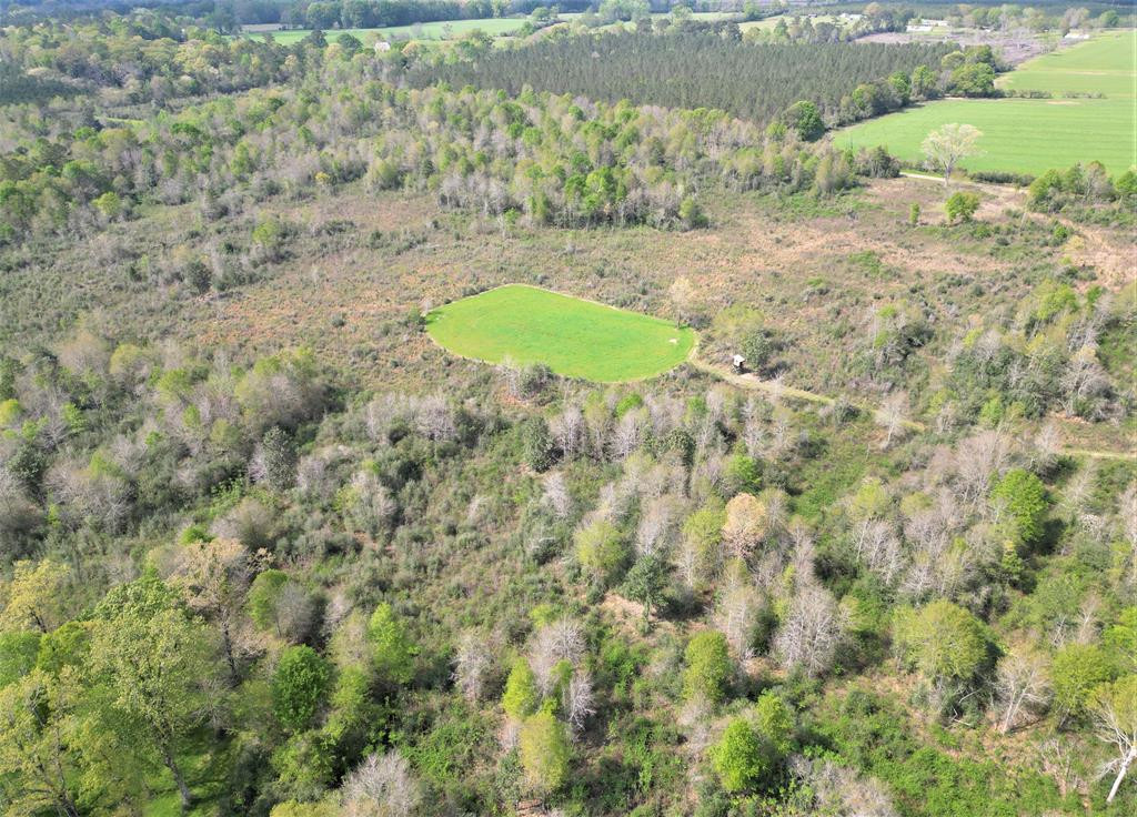... Osyka Road Tylertown, MS 39667 - Photo 1 of 39 Main View