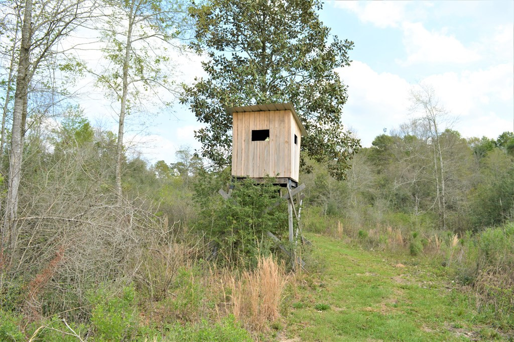 ... Osyka Road Tylertown, MS 39667 - Photo 13 of 39 Photo 13