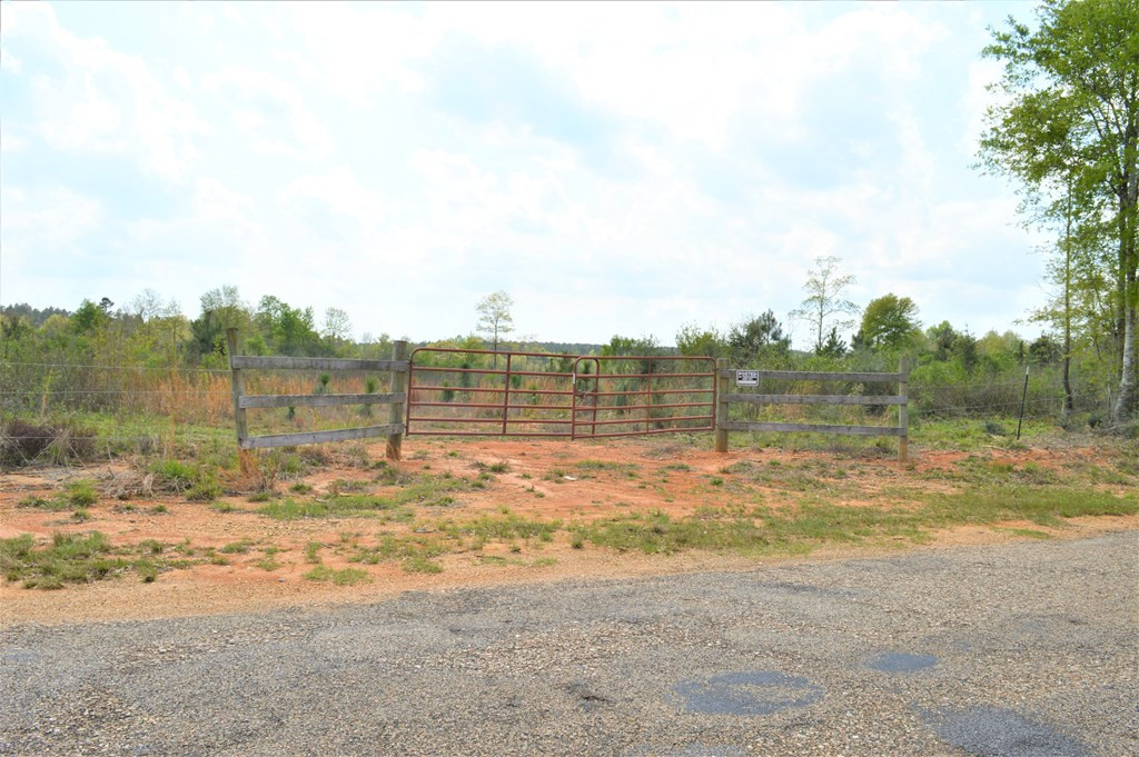 ... Osyka Road Tylertown, MS 39667 - Photo 20 of 39 Photo 20