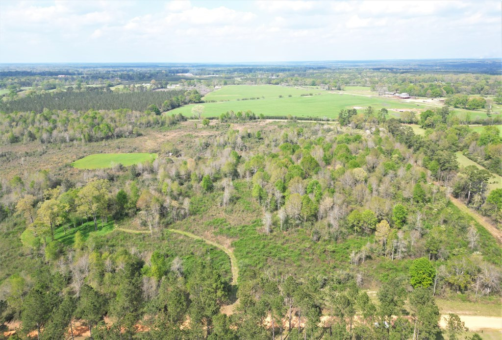 ... Osyka Road Tylertown, MS 39667 - Photo 2 of 39 Photo 2