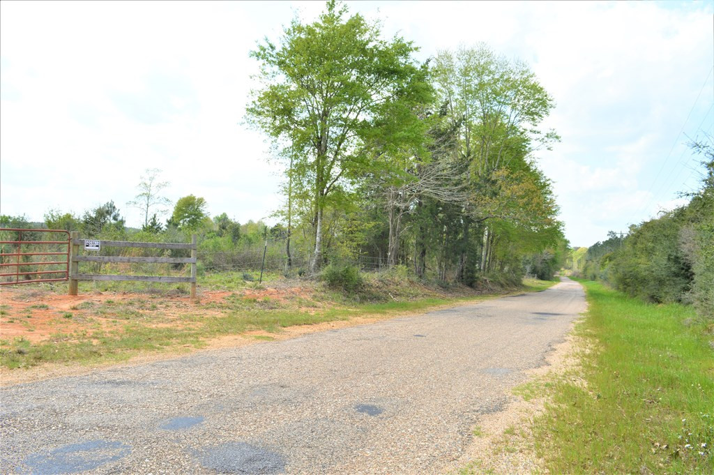 ... Osyka Road Tylertown, MS 39667 - Photo 21 of 39 Photo 21