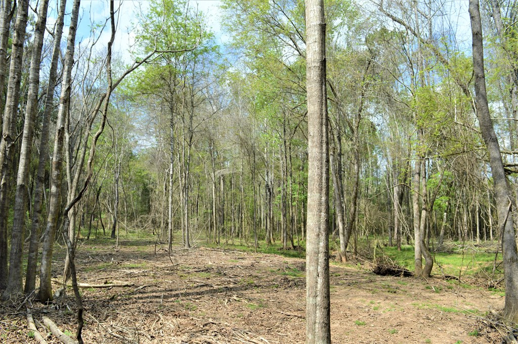 ... Osyka Road Tylertown, MS 39667 - Photo 28 of 39 Photo 28