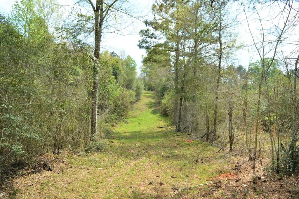 ... Osyka Road Tylertown, MS 39667 - Photo 30 of 39 Photo 30