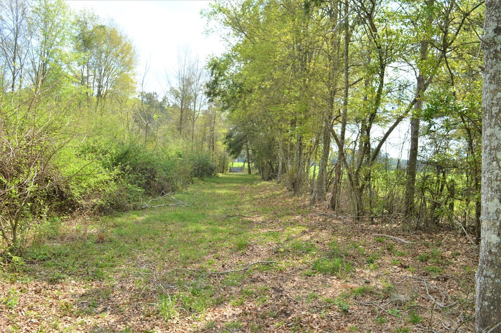 ... Osyka Road Tylertown, MS 39667 - Photo 31 of 39 Photo 31