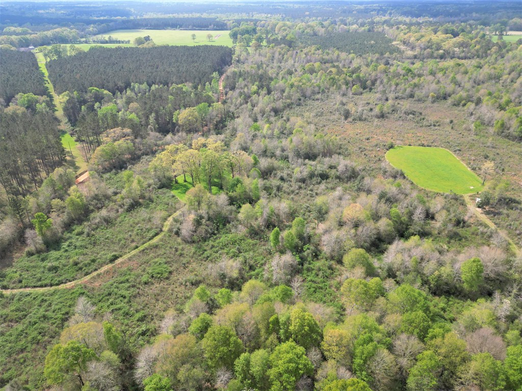... Osyka Road Tylertown, MS 39667 - Photo 4 of 39 Photo 4