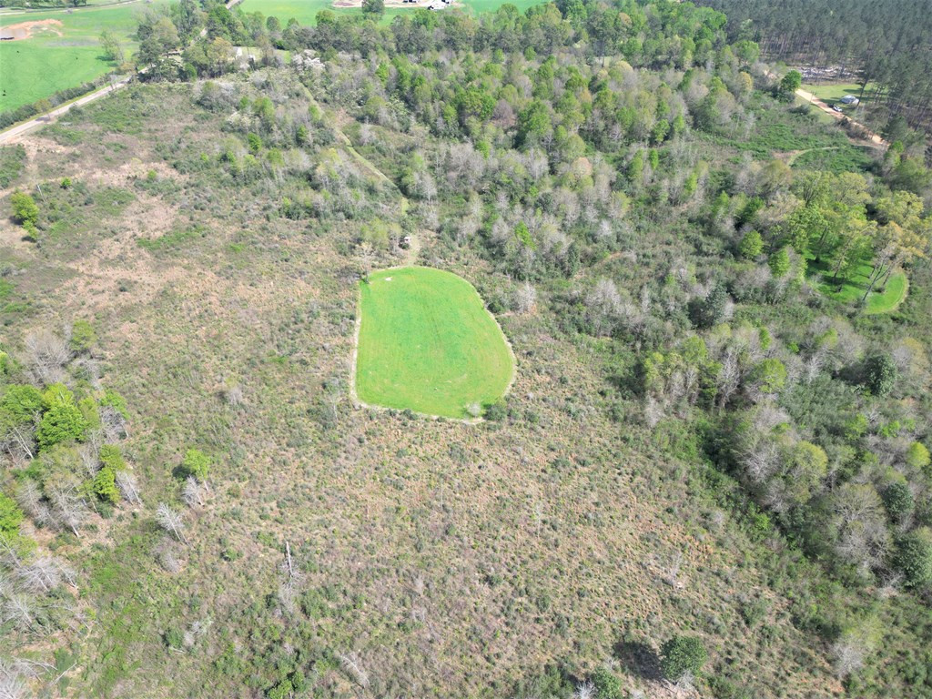 ... Osyka Road Tylertown, MS 39667 - Photo 6 of 39 Photo 6