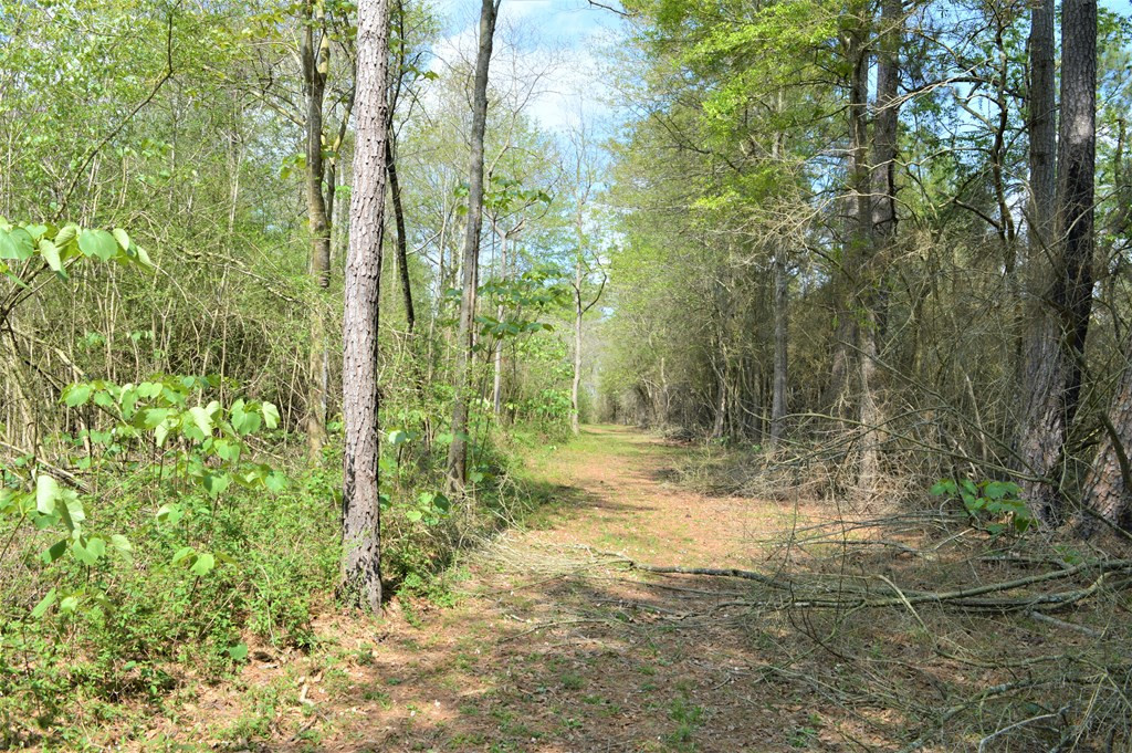 ... Osyka Road Tylertown, MS 39667 - Photo 8 of 39 Photo 8
