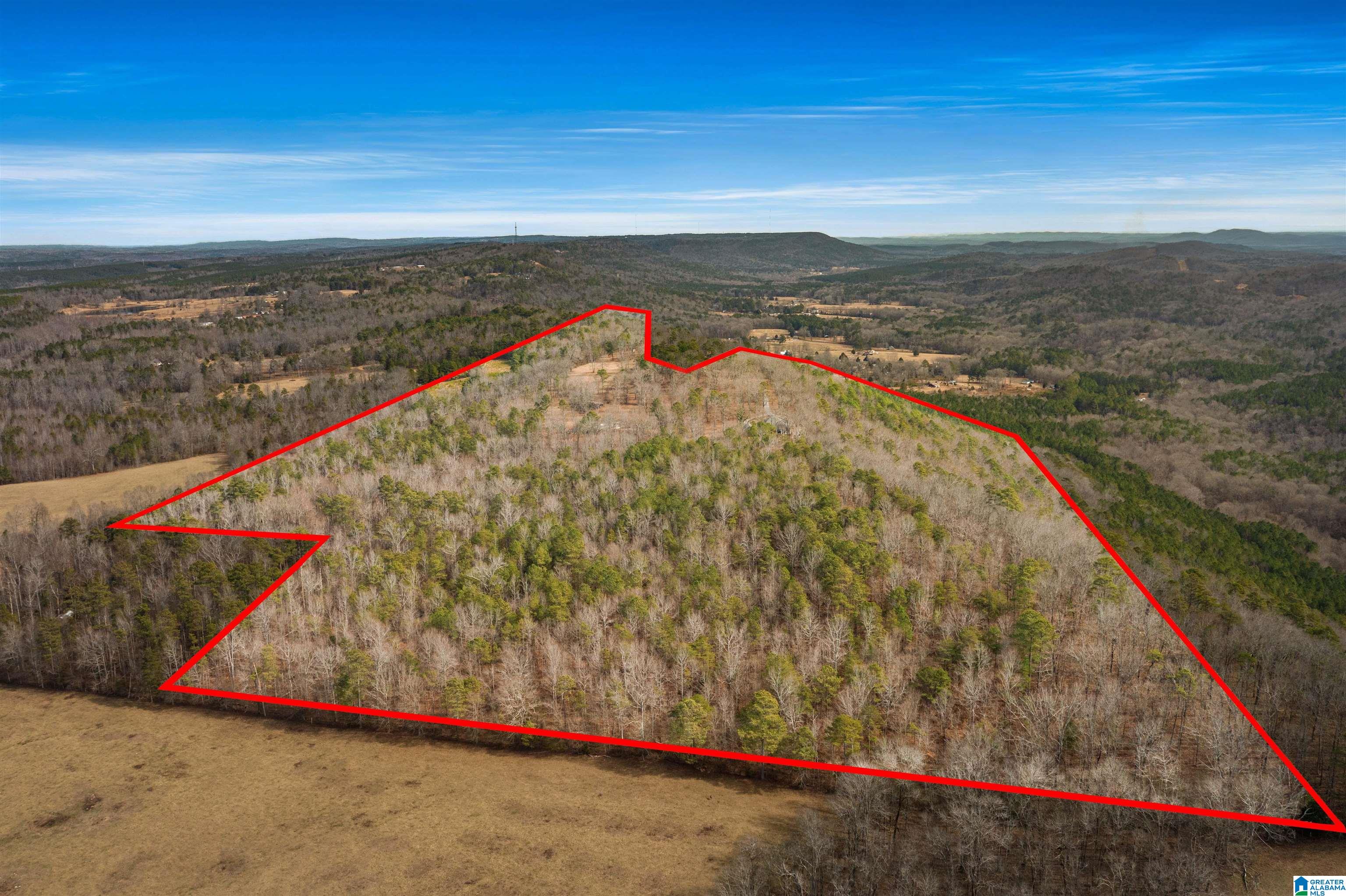 575 Mountain View Lane Springville, AL 35146 - Photo 58 of 84