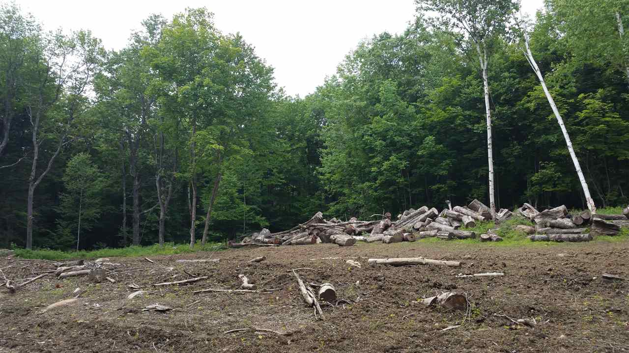 0 Bosley Hill Road Readsboro, VT 05350 - Photo 4 of 11