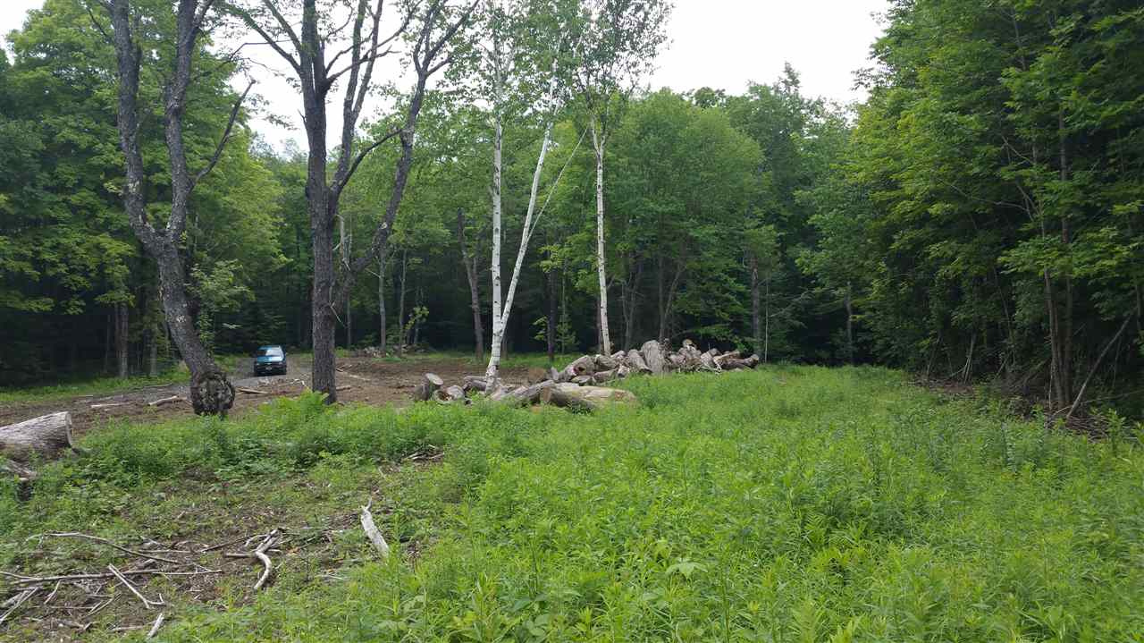 0 Bosley Hill Road Readsboro, VT 05350 - Photo 5 of 11