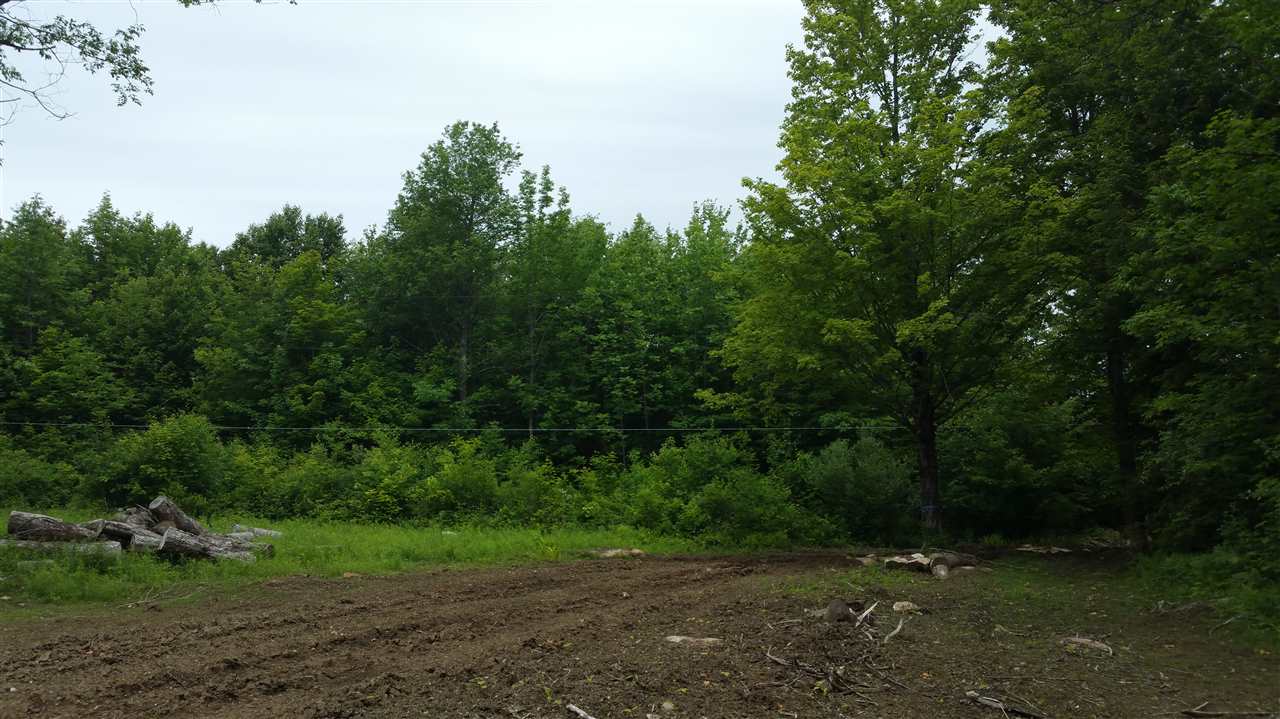 0 Bosley Hill Road Readsboro, VT 05350 - Photo 7 of 11