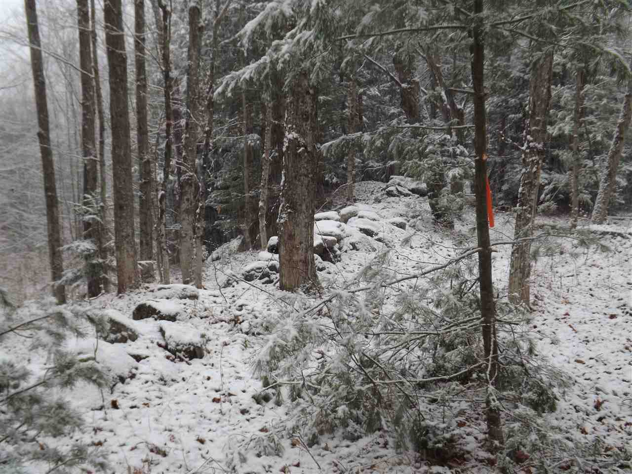0 Bosley Hill Road Readsboro, VT 05350 - Photo 8 of 11