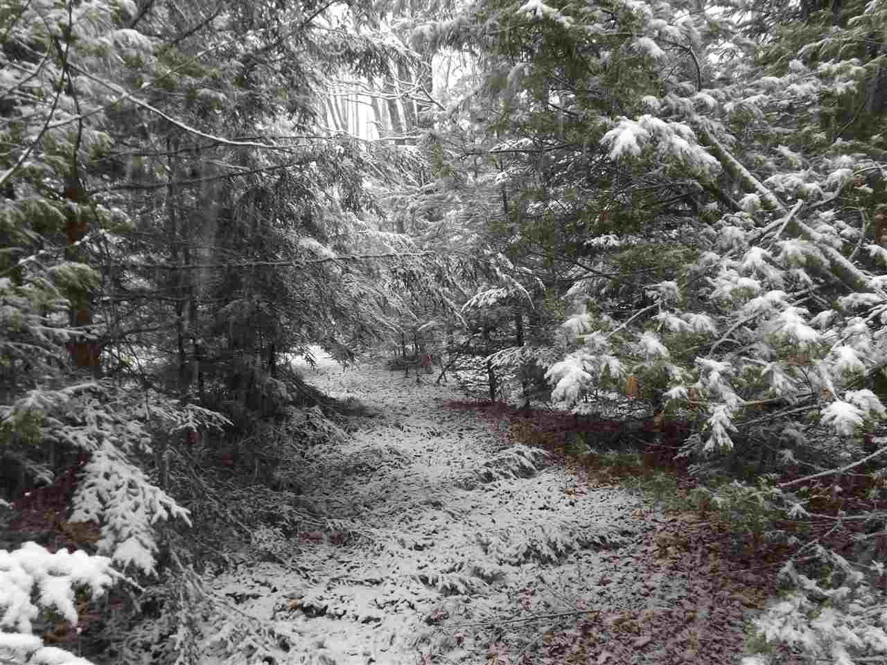 0 Bosley Hill Road Readsboro, VT 05350 - Photo 9 of 11
