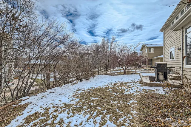 a view of a yard with large trees