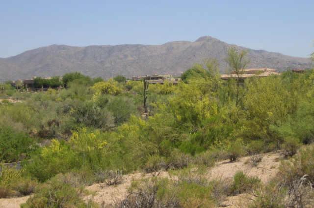 10273 East Joy Ranch Road, Unit 381 Scottsdale, AZ 85262 - Photo 3 of 3 Additional Photo