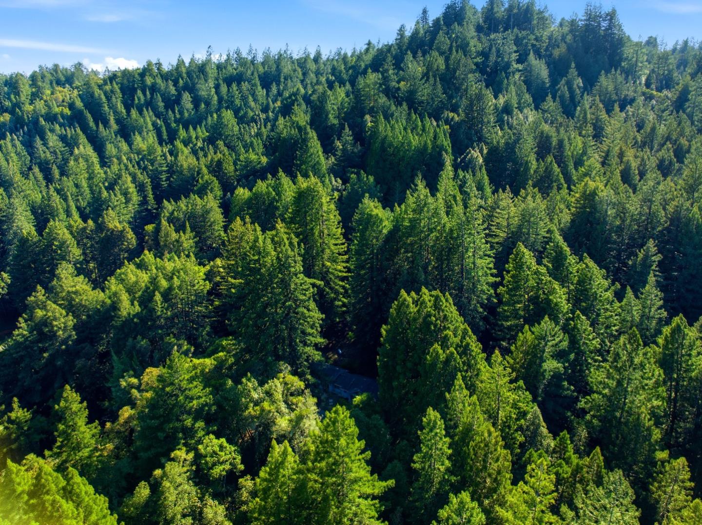 1460 Tucker Road Scotts Valley, CA 95066 - Photo 24 of 32 an aerial view of a yard with green space