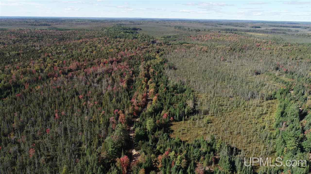 1480 Acres On Co Road Manistique, MI 49854 - Photo 45 of 49