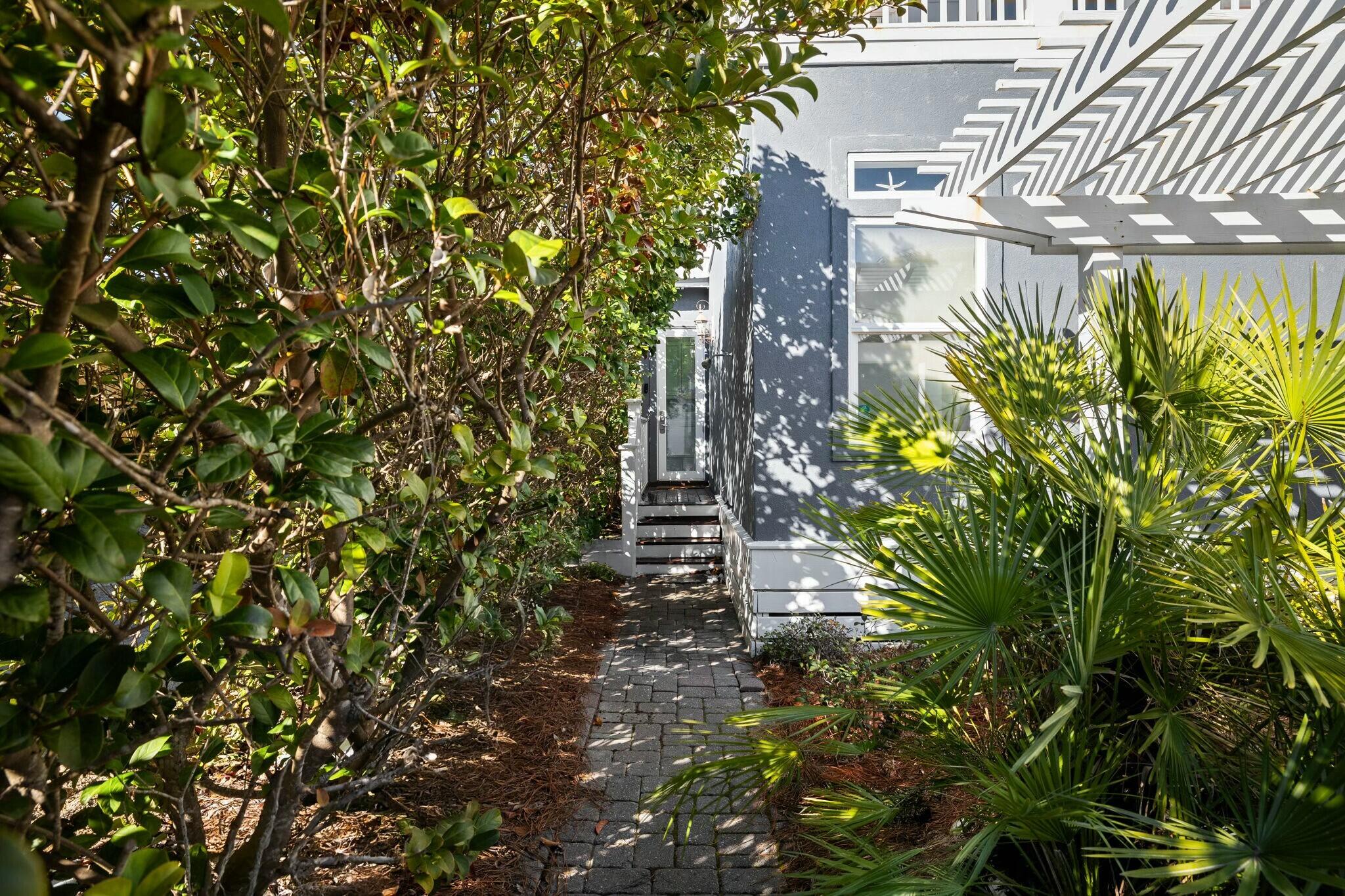 136 Surfer Lane Inlet Beach, FL 32461 - Photo 14 of 50 a plant that is in front of flowers