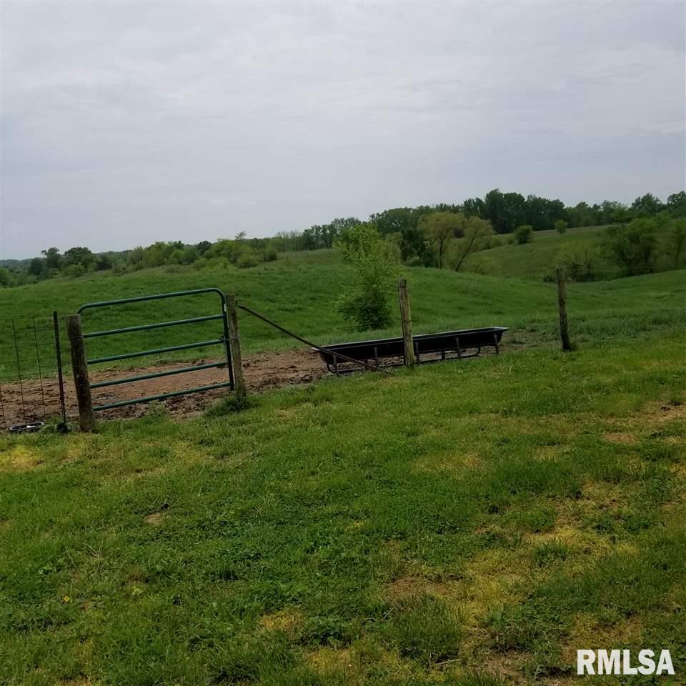 8735 East Airport Road Ipava, IL 61441 - Photo 3 of 11