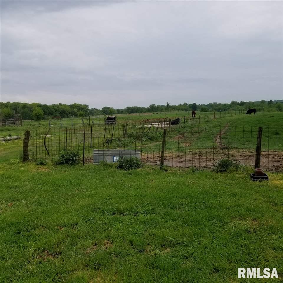 8735 East Airport Road Ipava, IL 61441 - Photo 9 of 11