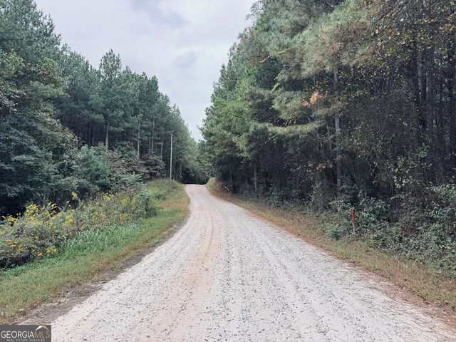a view of a road with trees in the background