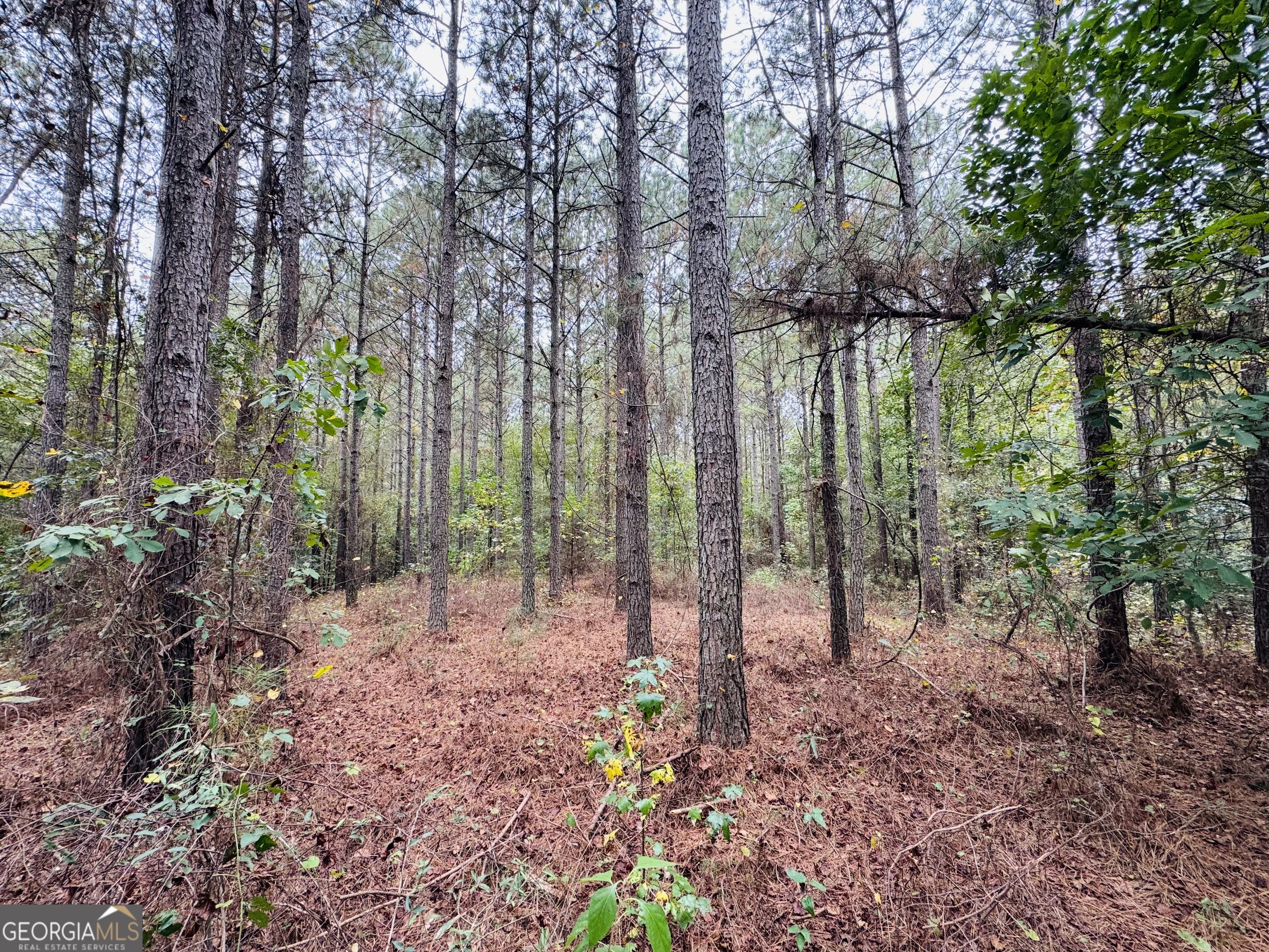 0 Cromer Road Dewy Rose, GA 30634 - Photo 12 of 15