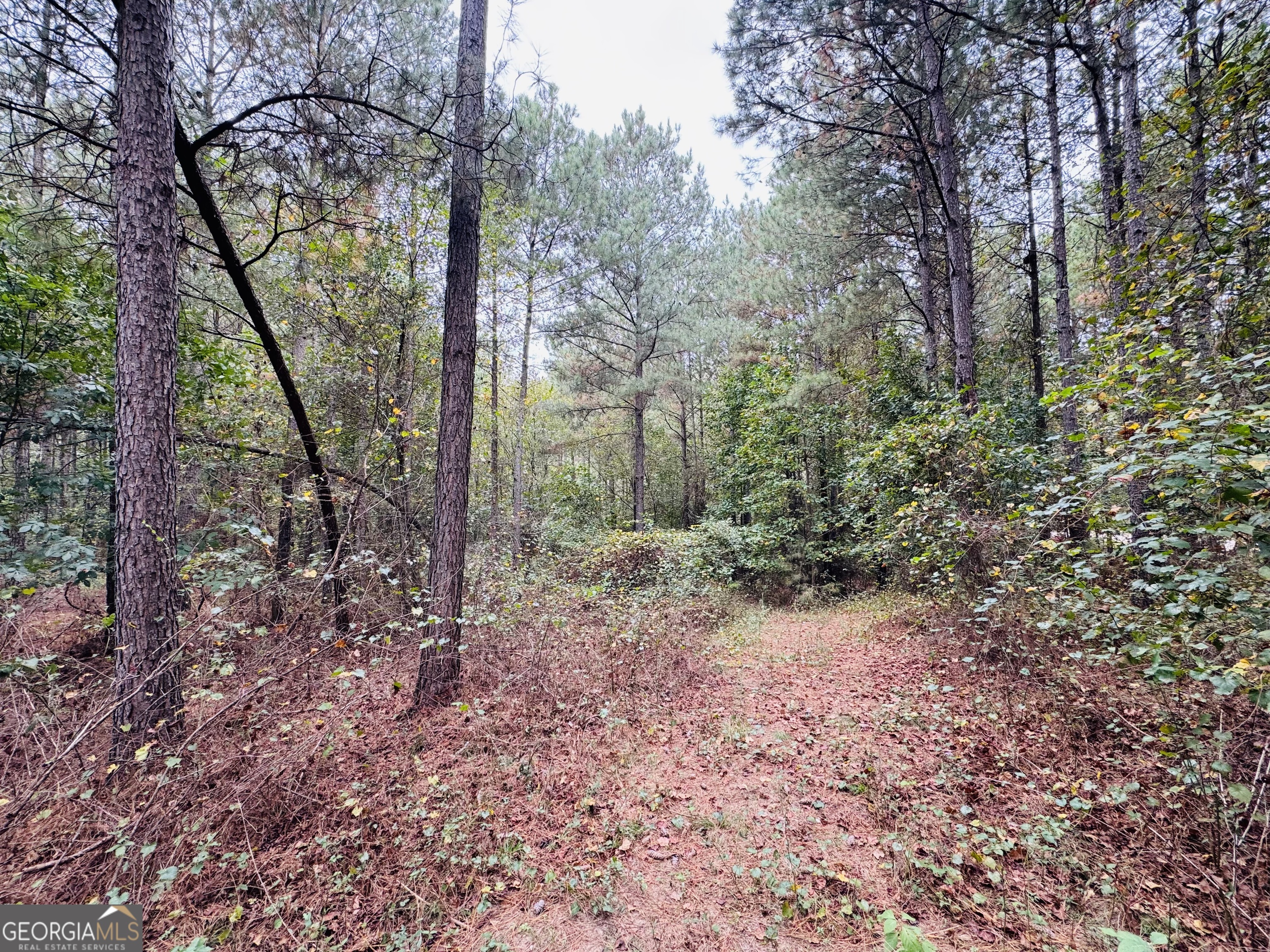 0 Cromer Road Dewy Rose, GA 30634 - Photo 13 of 15