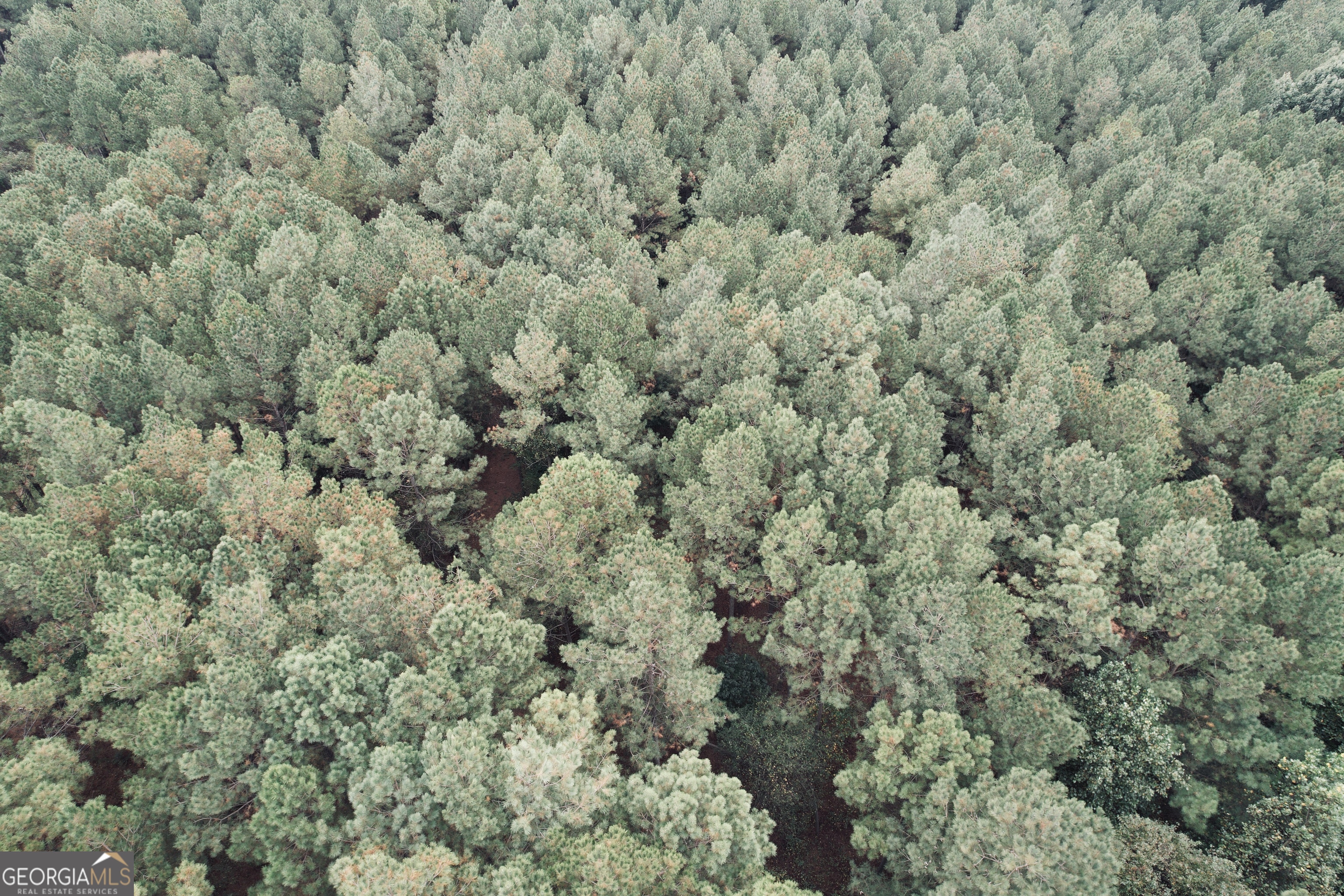 0 Cromer Road Dewy Rose, GA 30634 - Photo 14 of 15