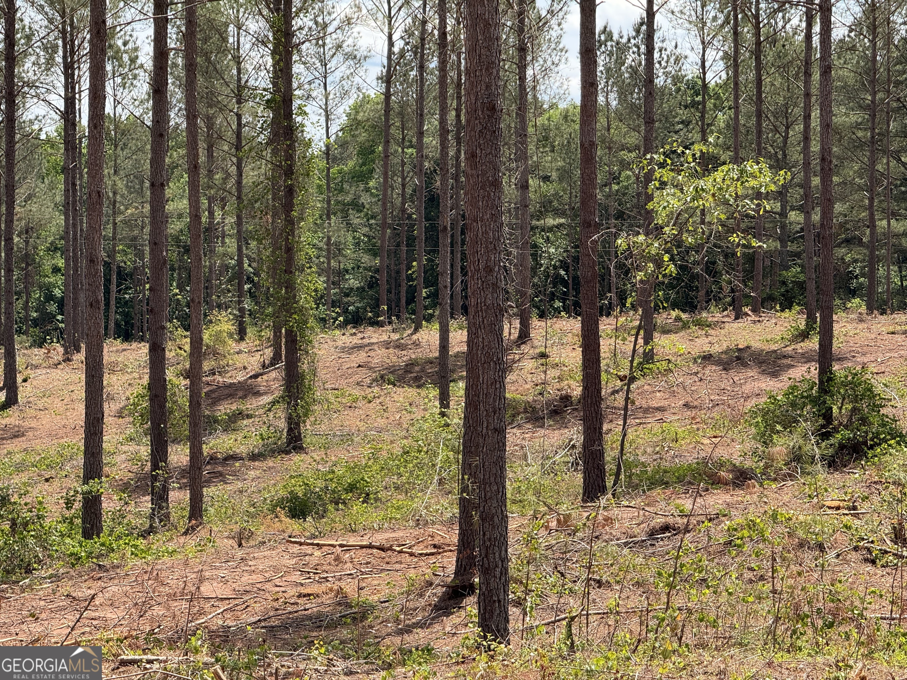 0 Cromer Road Dewy Rose, GA 30634 - Photo 2 of 21