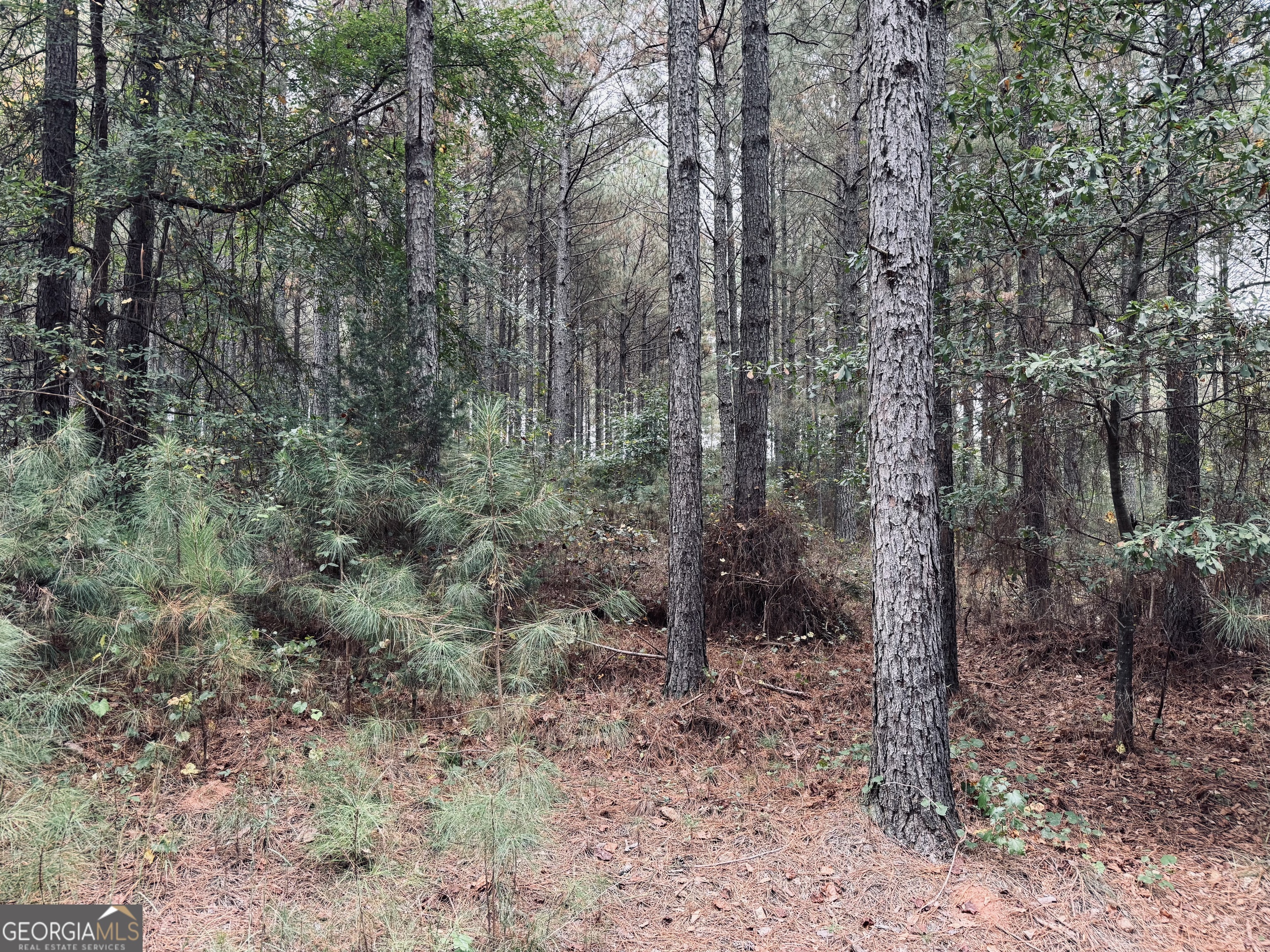 0 Cromer Road Dewy Rose, GA 30634 - Photo 6 of 15