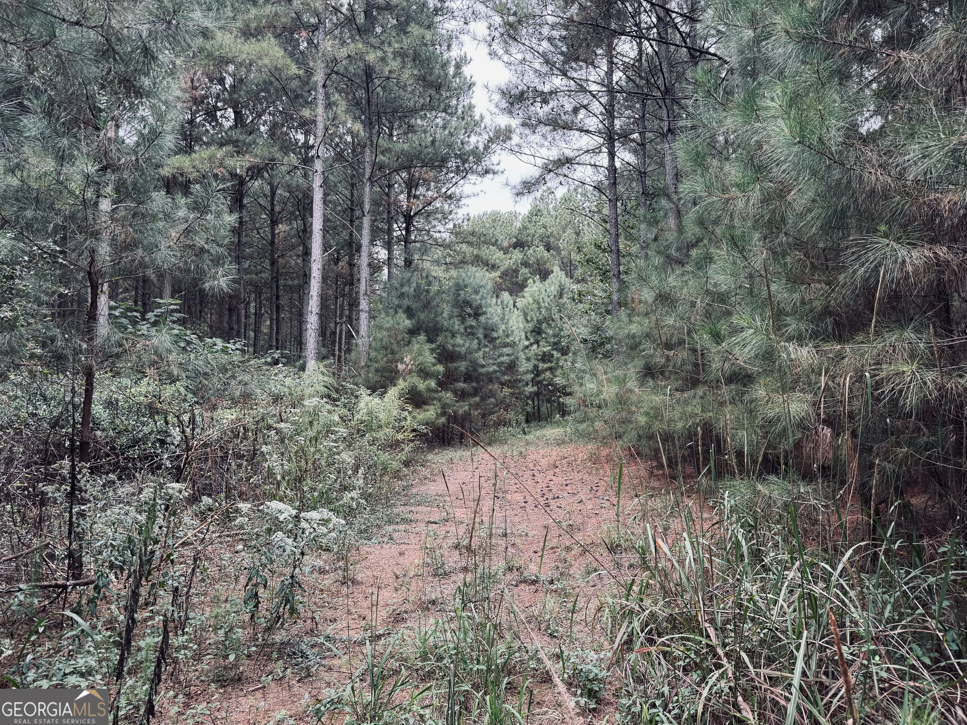 0 Cromer Road Dewy Rose, GA 30634 - Photo 7 of 15