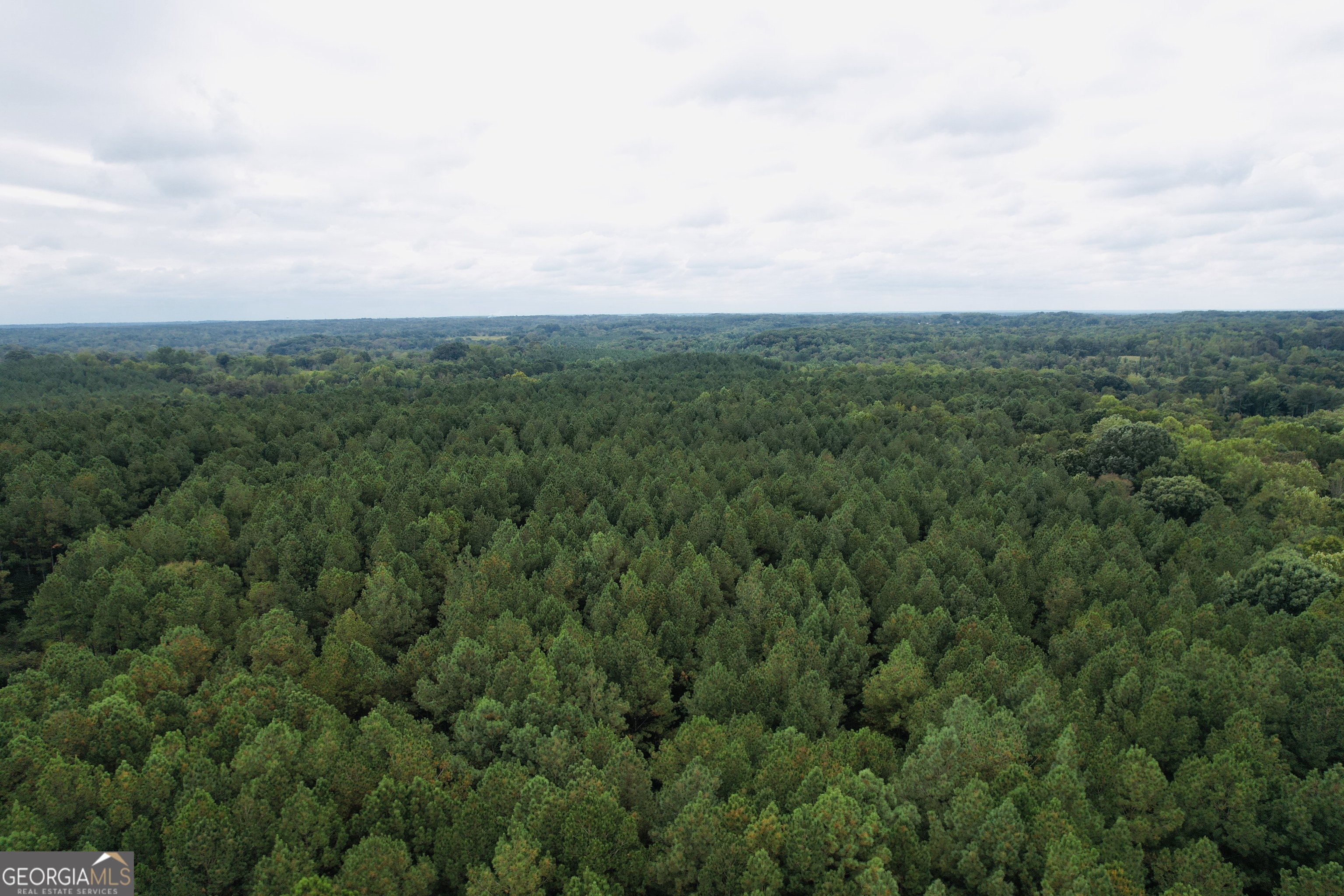0 Cromer Road Dewy Rose, GA 30634 - Photo 8 of 15
