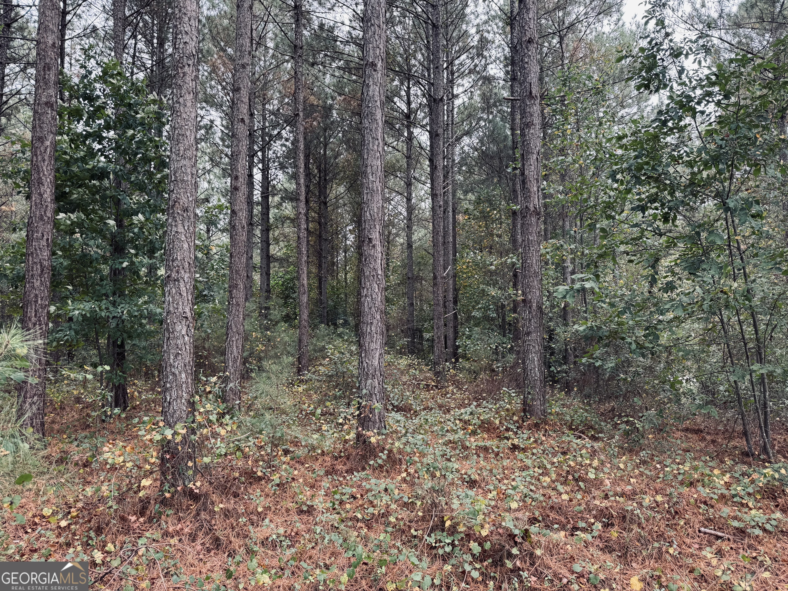 0 Cromer Road Dewy Rose, GA 30634 - Photo 9 of 15