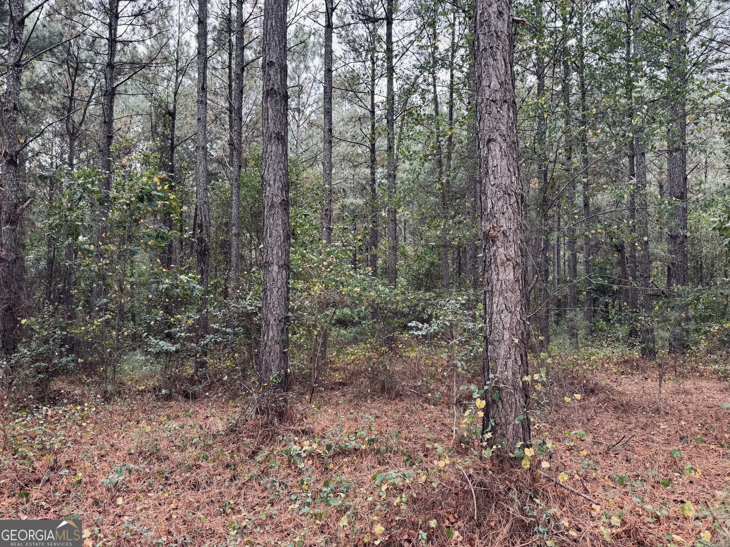 0 Cromer Road Dewy Rose, GA 30634 - Photo 10 of 15