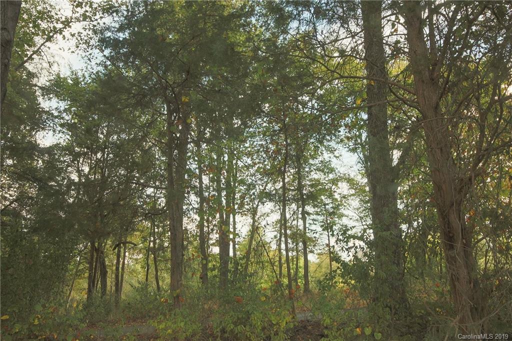 6201 Rehobeth Road Waxhaw, NC 28173 - Photo 35 of 39